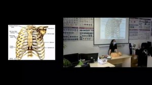 Курс оказания первой помощи при ДТП