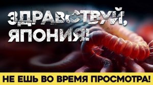 ЗДРАВСТВУЙ, ЯПОНИЯ Армейские Байки #66