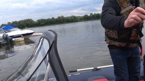 РИБ Fortis (Фортис) 430