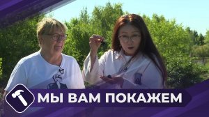 Мы вам покажем: Смородина