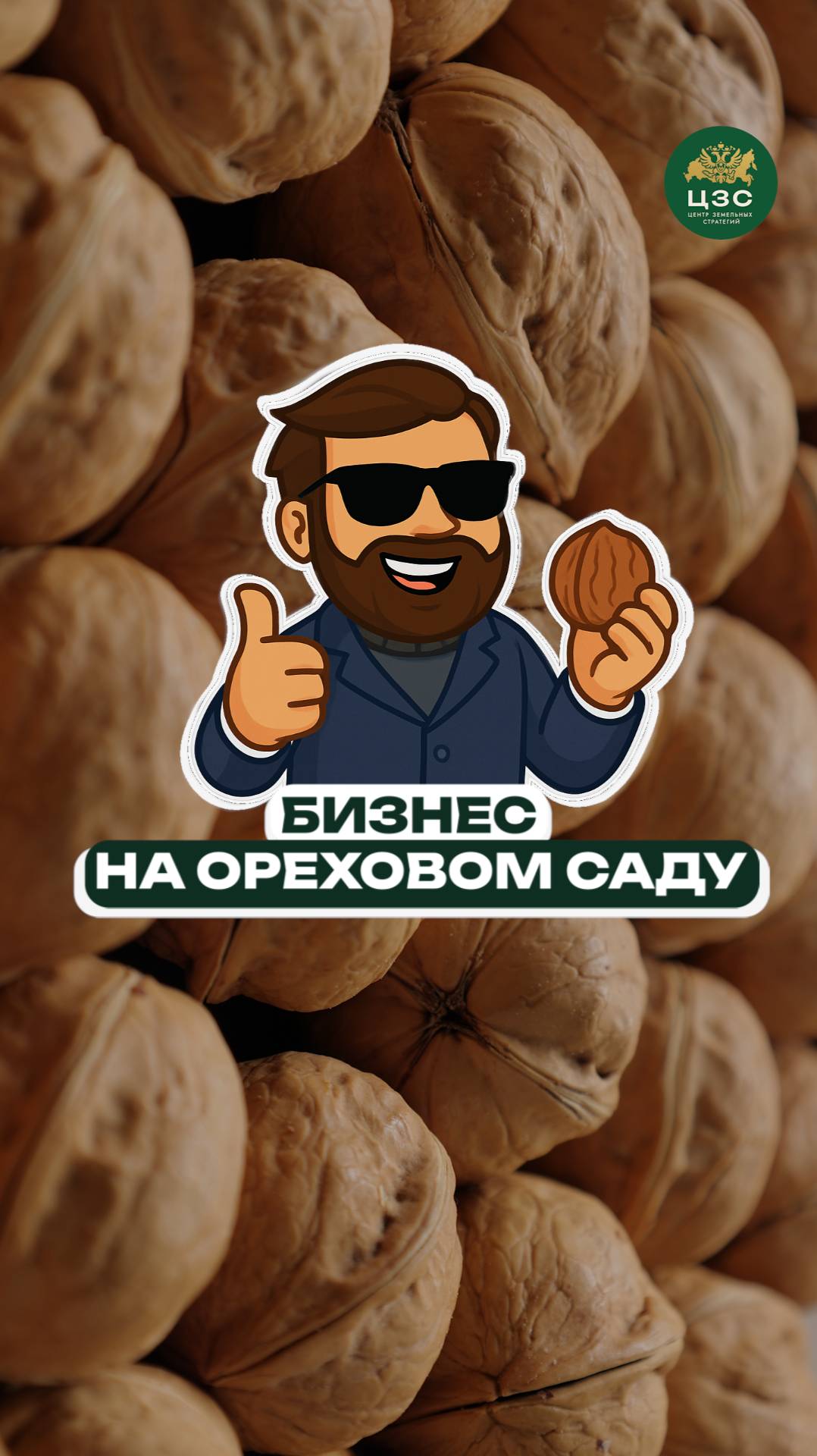 Ореховый бизнес - реально?