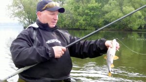 Строгино. Боковой кивок.