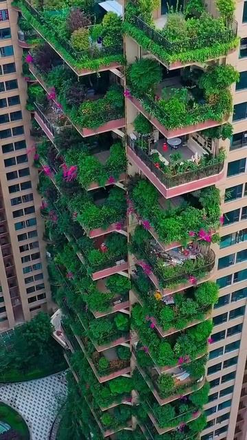 Чэнду, Китай смотреть онлайн