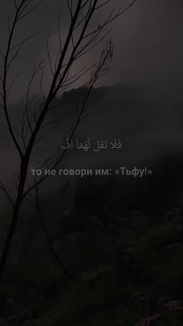 Сура 17 Аль-Исра аяты 23-24 || Мухаммад Люхайдан смотреть онлайн