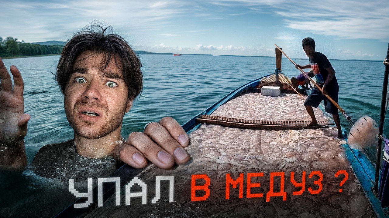 ДИЛЕМА  МЕДУЗЫ | ПАРАДОКС МАРТЫШКИ | Zadumaites