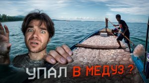 ДИЛЕМА  МЕДУЗЫ | ПАРАДОКС МАРТЫШКИ | Zadumaites