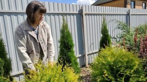 Обзор клумбы возле мангальной зоны