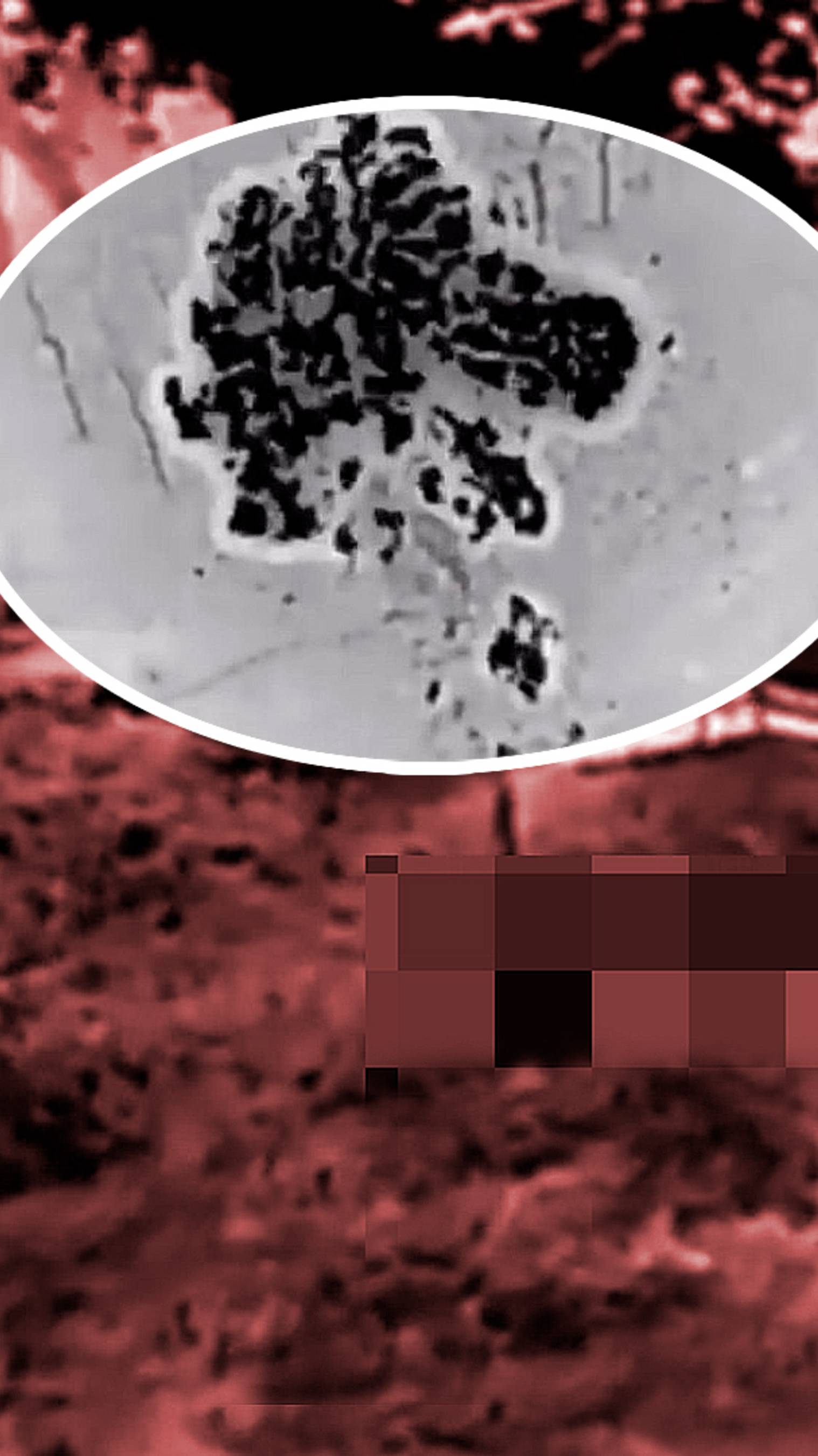 Солдат ВСУ навел удар по своим из мести! За что? смотреть онлайн