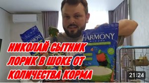 САМВЕЛ АДАМЯН, ГРАНДЕНИКО ВЛОГ, ПОСЫЛКА ОТ ЭЛЛЫ, ЛОРИК В ШОКЕ  ОТ КОЛИЧЕСТВА КОРМА..