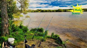 Рыбалка на Донки. Много поклёвок. Отличный день на реке. 2025