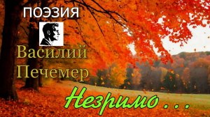 Незримо… читает автор Василий Печемер