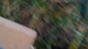 Замена рулевой тяги Ситроен С4 / Пежо 308 с помощью самодельного ключа