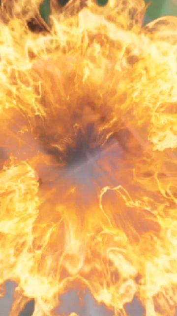 гигиена превыше всего