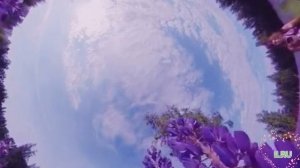 Рассказы читать интересные истории из жизни людейю Необычная месть за предательство,...