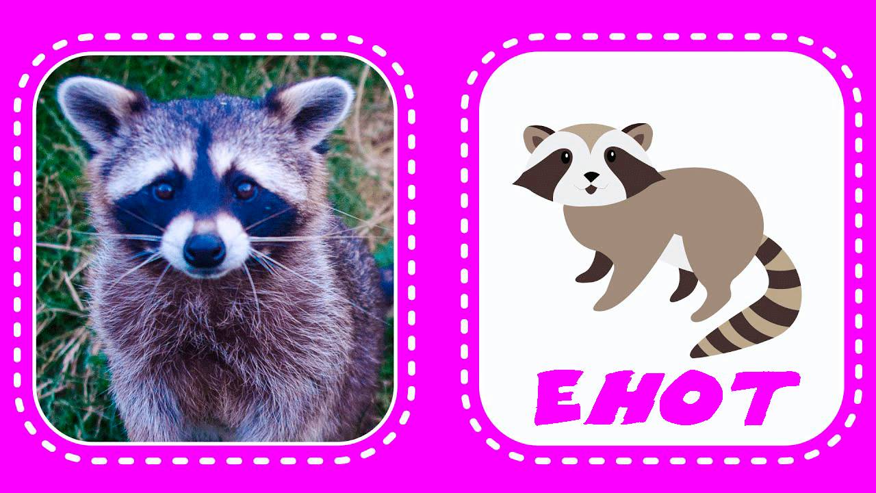 Лесные животные. Логопедические карточки для малышей. Учим животных по карточкам Домана смотреть онлайн