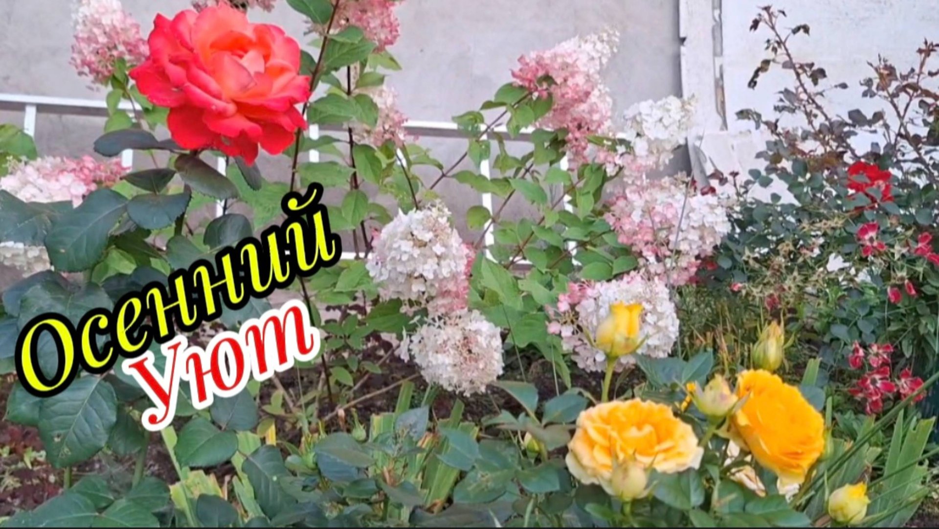 Подготовка сада и огорода к осени: цветы, овощи и уютный уголок для отдыха. Смешанная посадка/Август смотреть онлайн