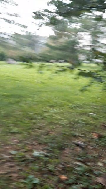 20250828_172432.mp4 смотреть онлайн