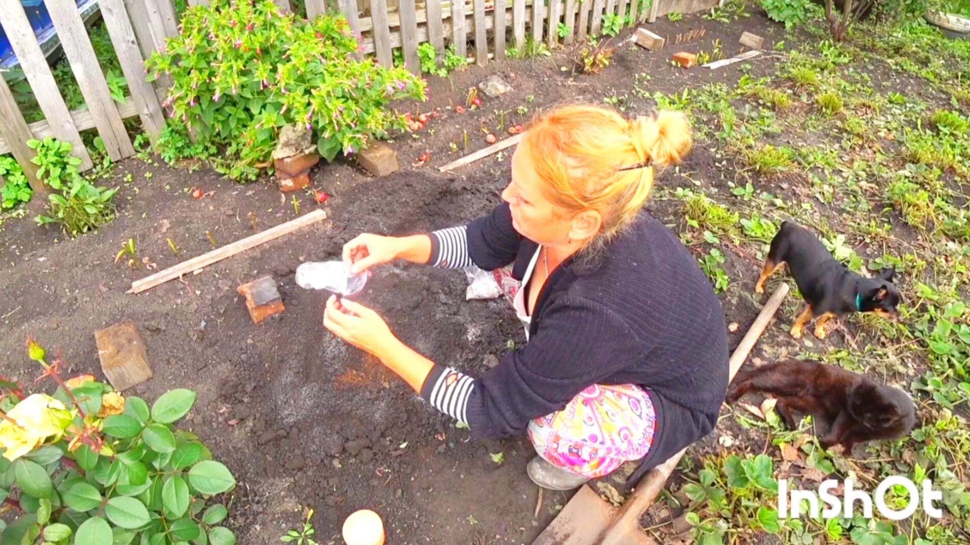 Деревенский день в простой семье,жизнь на земле это всегда труд смотреть онлайн