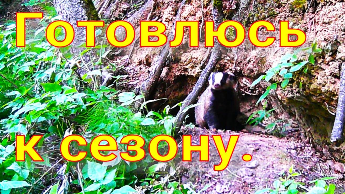 Обошёл четыре барсучьих городка барсук есть попытка рыбачить на таёжной реке Аркан поправляется смотреть онлайн