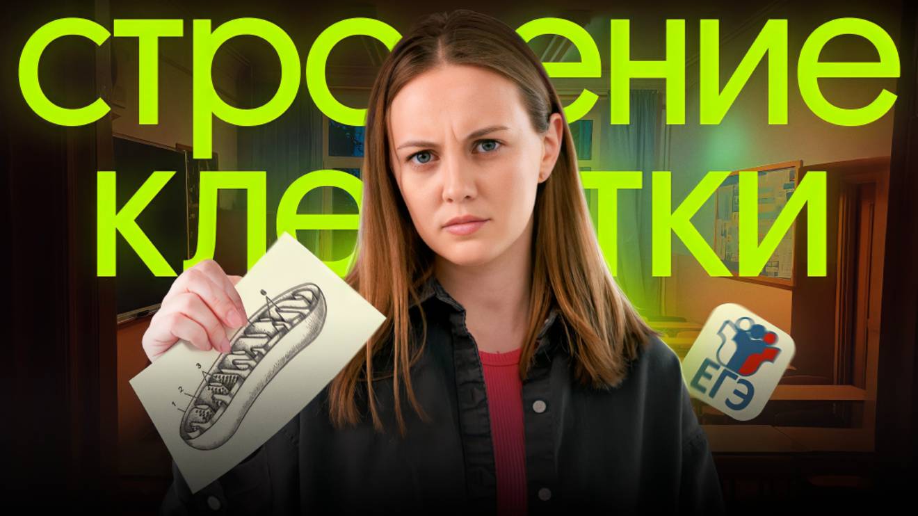 СТРОЕНИЕ КЛЕТКИ: открытый урок Основы | ЕГЭ по биологии на 90+ смотреть онлайн
