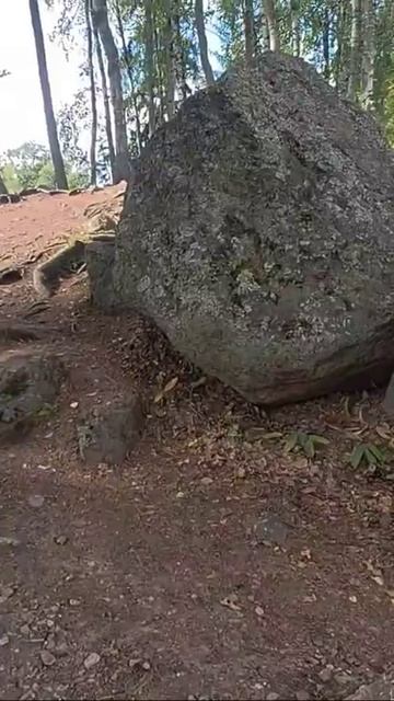 28-08-2025 смотреть онлайн