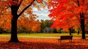 Прощаемся с летом! Песенный стрим 30 августа в 19-00