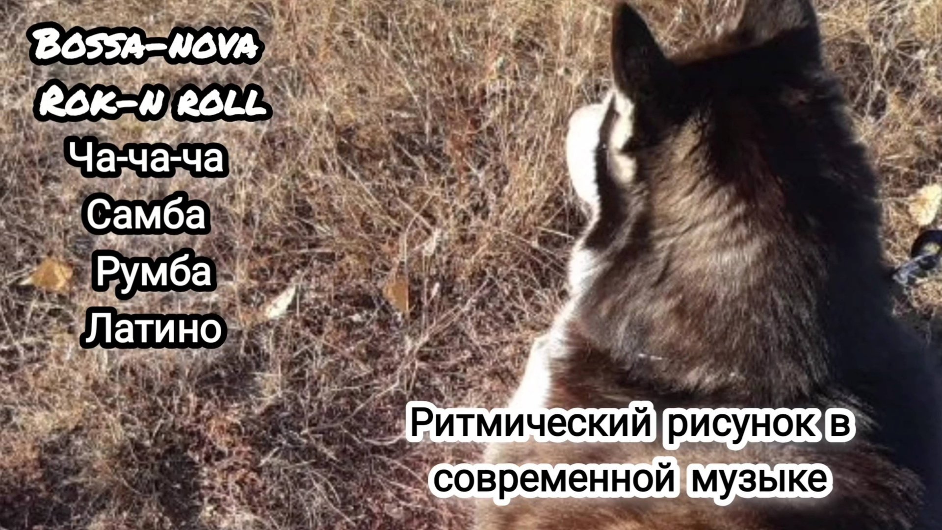 Предмет : оркестр – ударные инструменты сонорики | 2 курс | Музыкальное звукооператорское мастерство