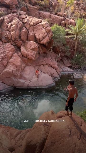 Хотите побывать на другой планете? Тогда отправляемся на Сокотру!