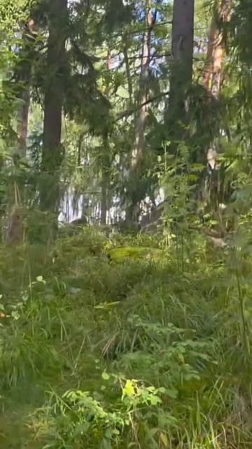 красота смотреть онлайн