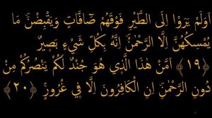 учим сура Аль-Мульк аят 19-21