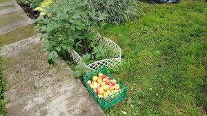 Видео привет, 28 августа 2025 года