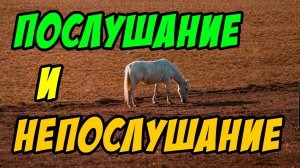 Послушание и непослушание - Василий Савич. Христианские проповеди