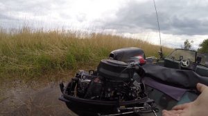 Suzuki dt 30 RS. Обзор, опыт эксплуатации. Выбор лодочного мотора.