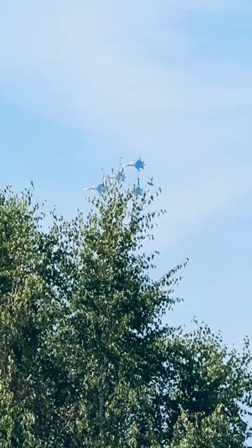 "Русские витязи" прилетели в Барнаул смотреть онлайн