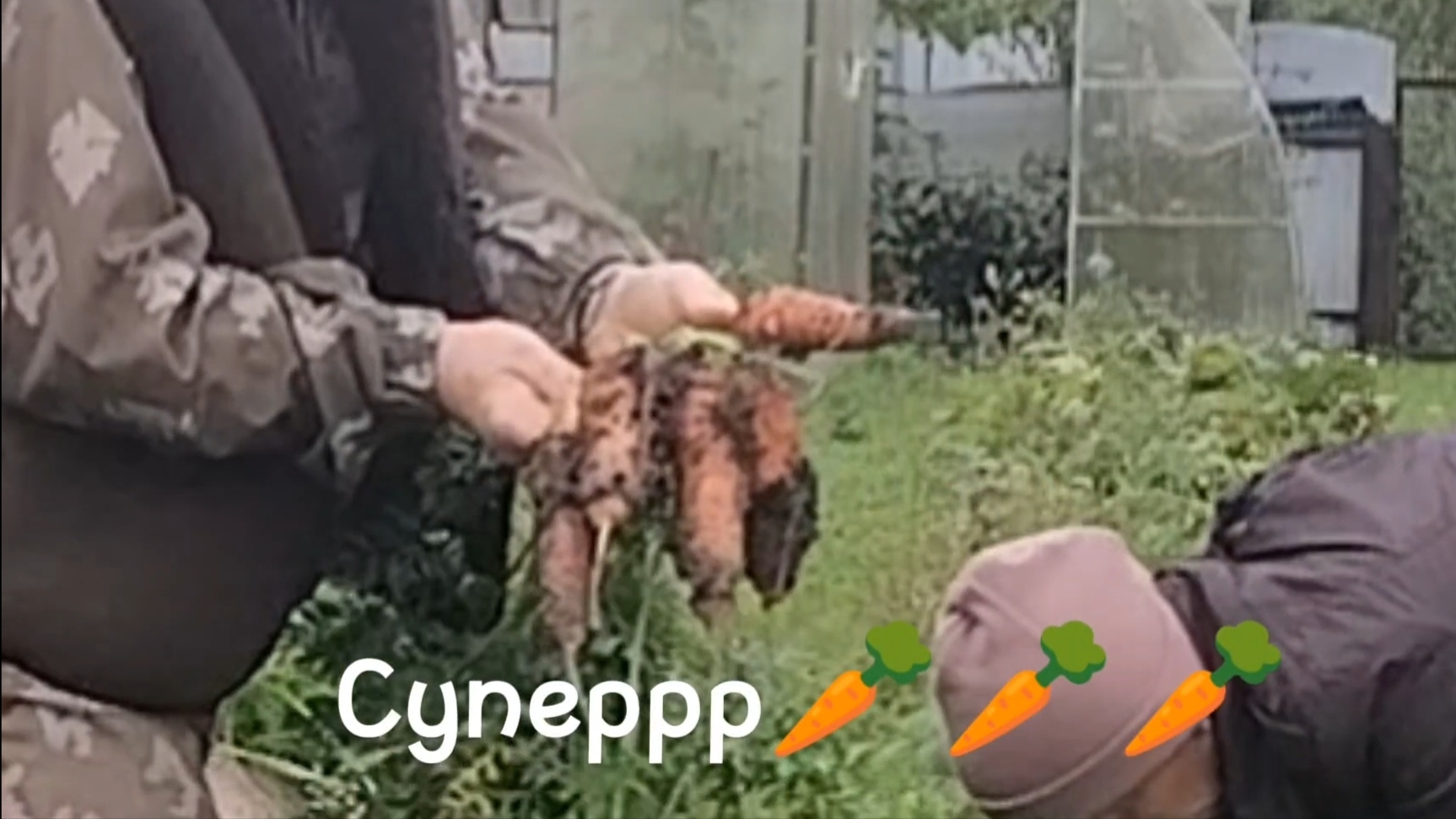 Потихоньку собираем морковь, зайчик варит яблочное пюре. 24-08-2025 смотреть онлайн