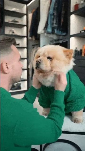 Парни собираются на свидание смотреть онлайн