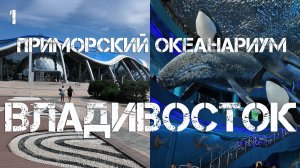 Владивосток остров Русский,Приморский океанариум (первый фрагмент,12 августа 2025).