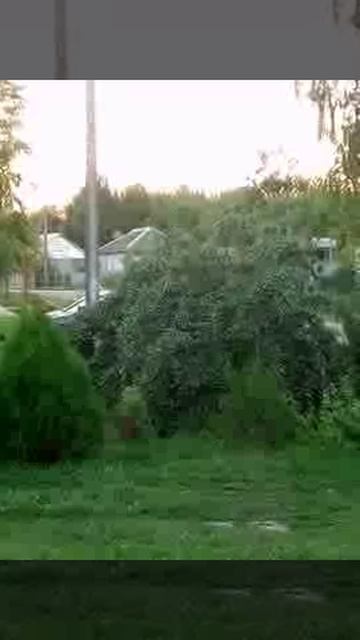 Цвета травли красный, зелёный.