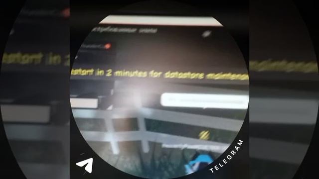 ≡Небесная Лапа WCUE!!~:³