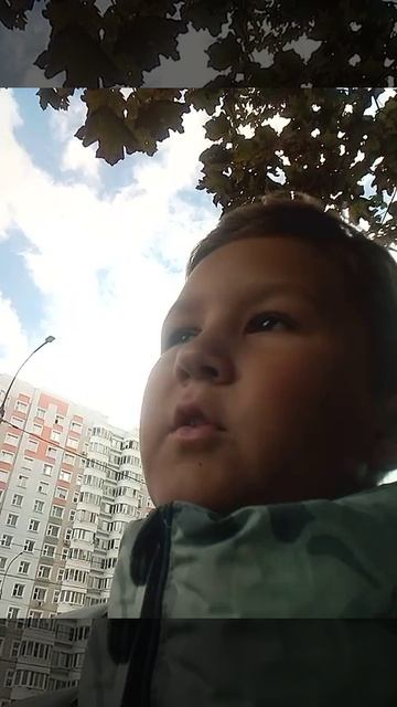 VID_20250827_123519.mp4