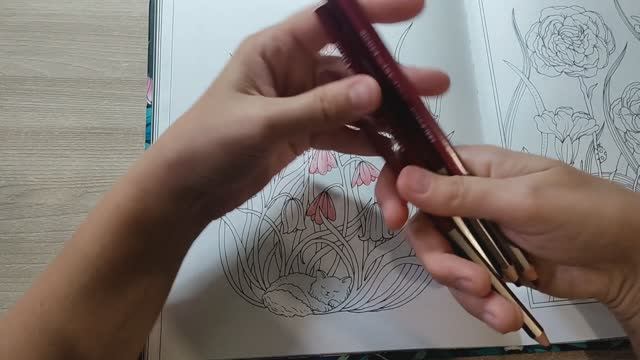 УТРО С РАСКРАСКОЙ Давно ее не раскрашивала