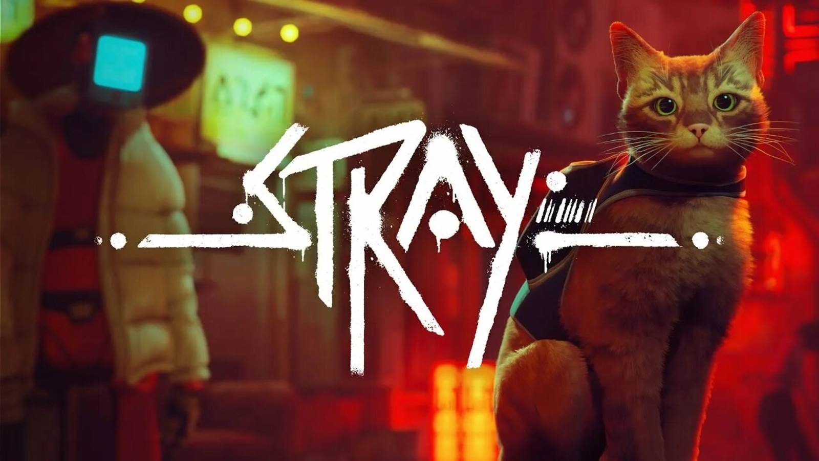 Stray смотреть онлайн