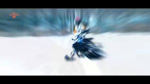 Новый снегоход Woideal WD 200