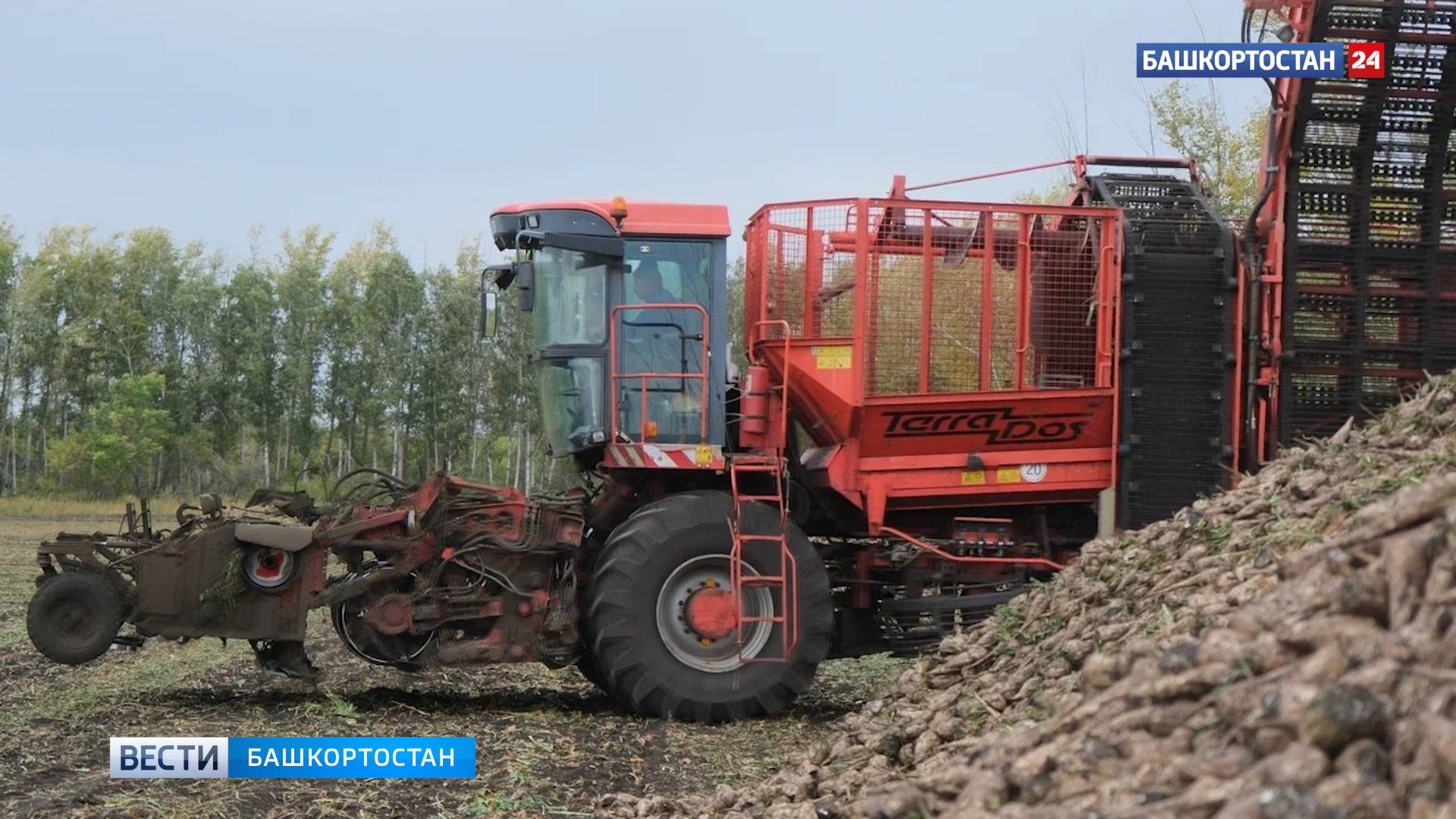 В Башкортостане стартовала уборка сахарной свеклы смотреть онлайн