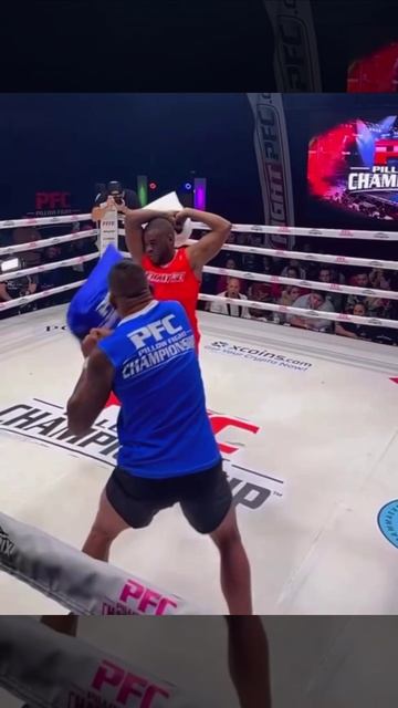 В США теперь дерутся даже подушками смотреть онлайн