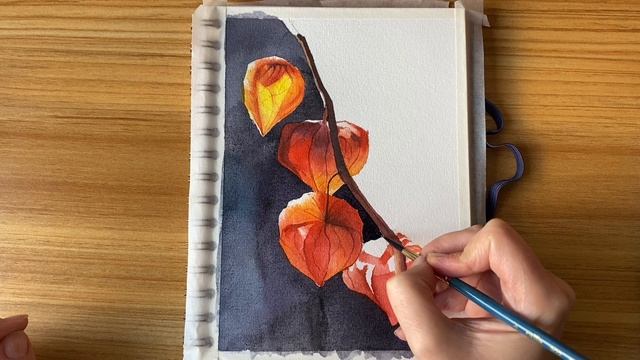 Физалис, часть 6 смотреть онлайн