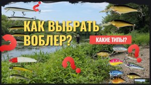 Какой воблер выбрать? Советы и разбор основных типов | Зябликов Ловит №134