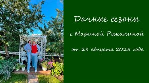 дс433_280825_инет