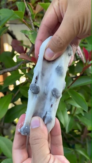 Дайфуку из черной фасоли, приготовленное в большой машине для приготовления моти🍡