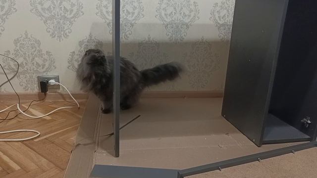 ХОББИ-ВЛОГ. Мой новый уголок для разкрашивания. смотреть онлайн